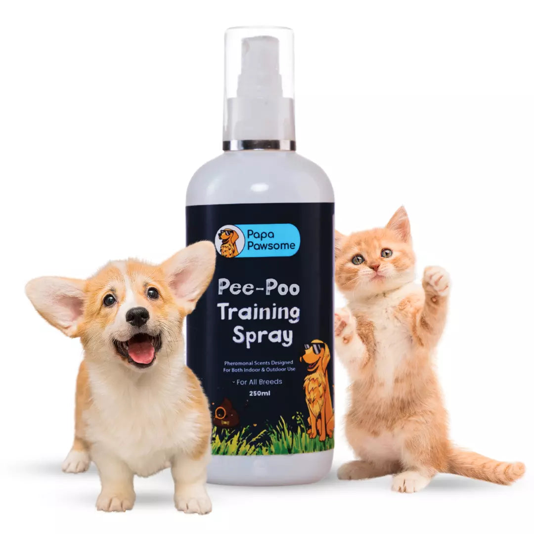 Dog pee and poop repellent best sale