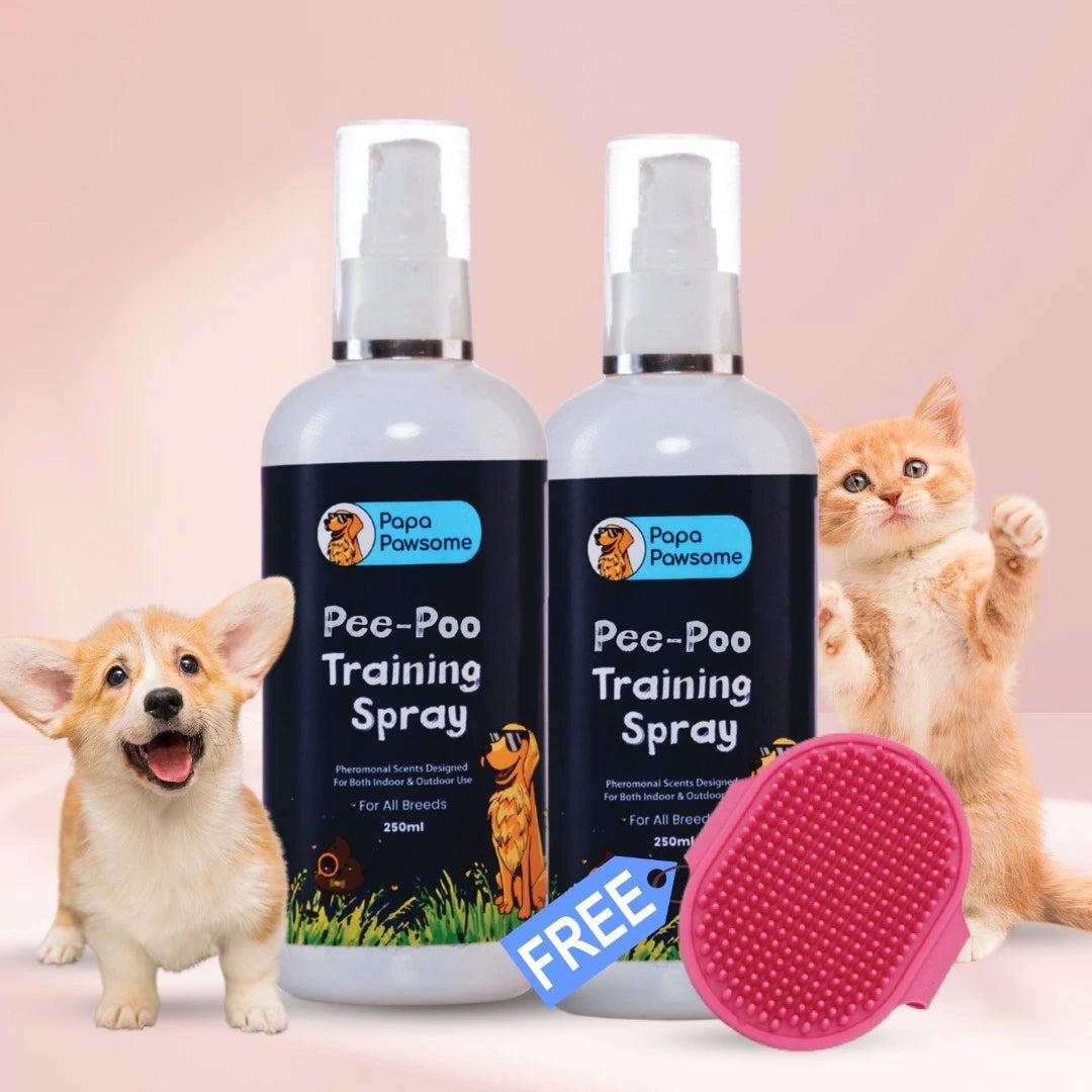 Pee-Poo Toilet Training Spray for Dogs & Cats Pack of 2 + Free Palm Brush -  Papa Pawsome - Papa Pawsome