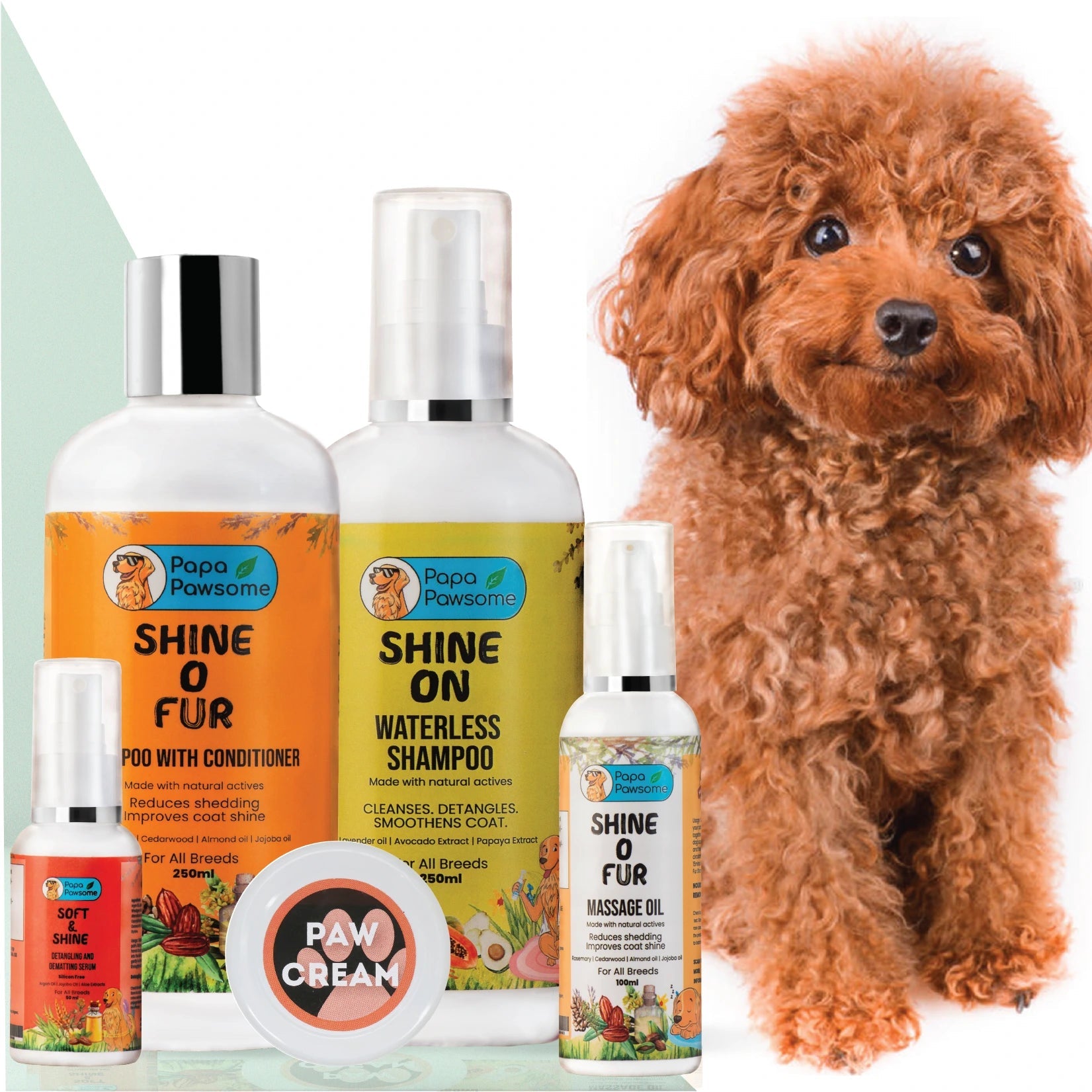 Poodle on sale grooming kit